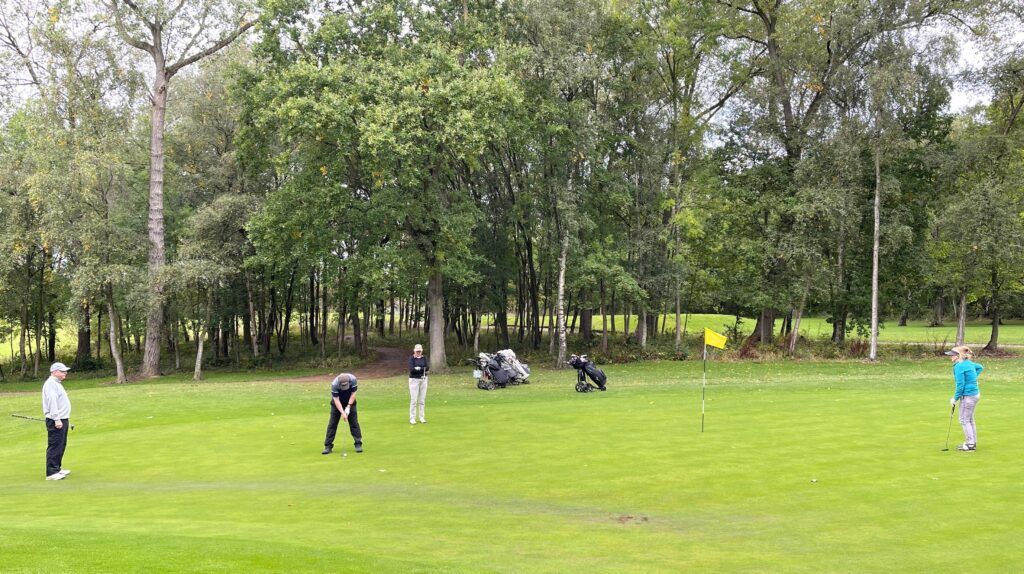 Two men and two women playing golf