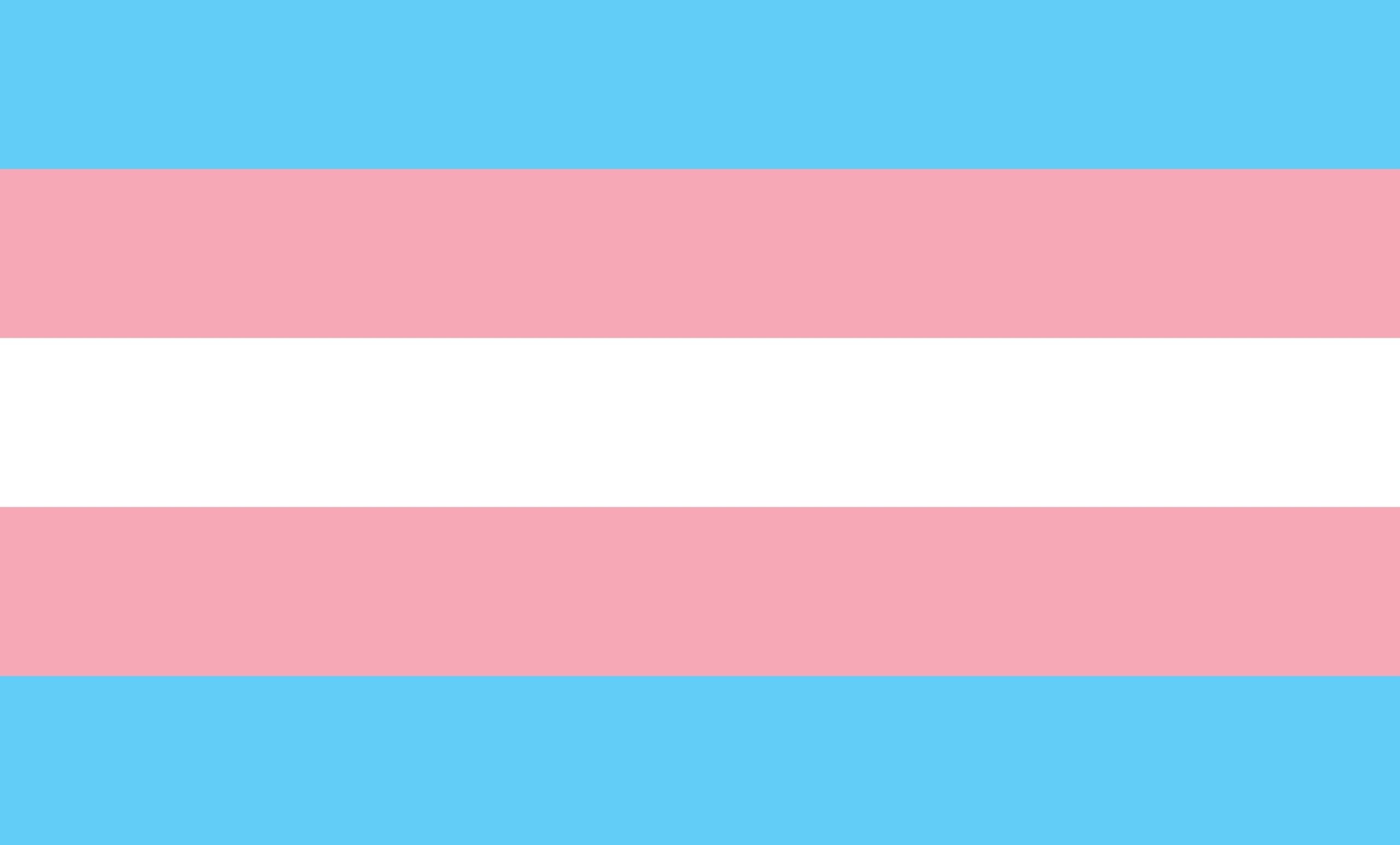 Transgender Pride Flag - colours blue, pink and white stripes